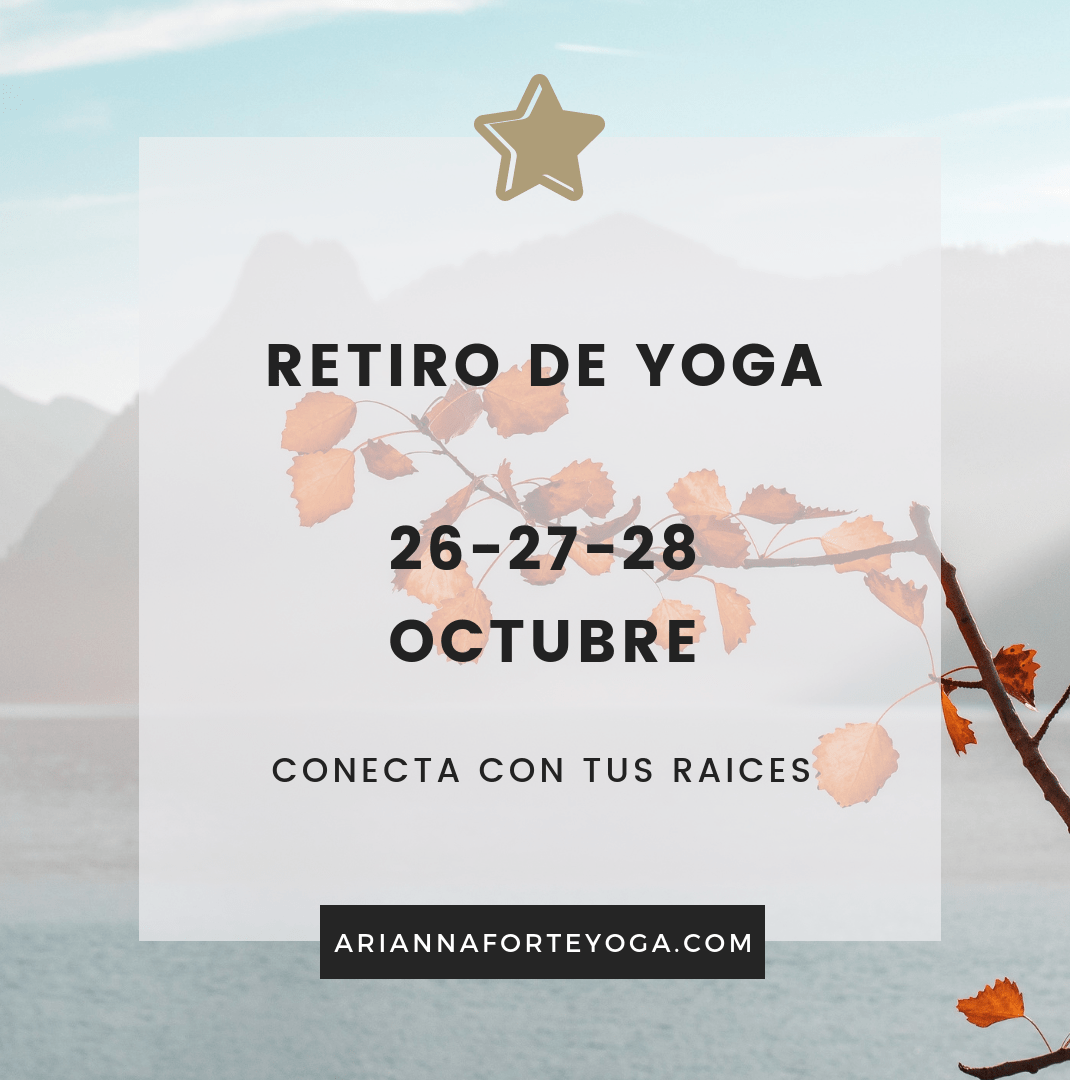 CONECTA-CON-TUS-RAICES
